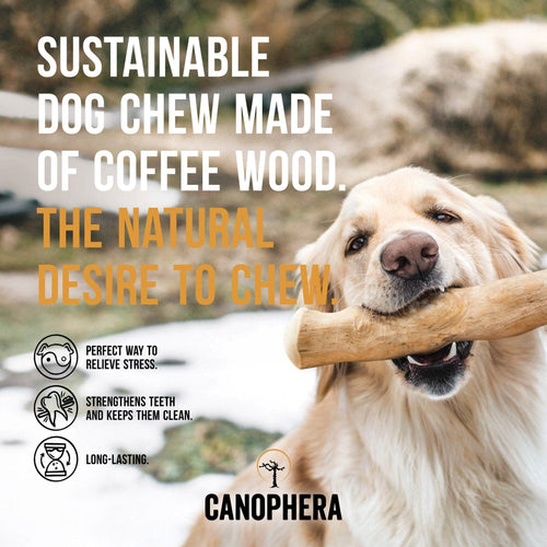 Canophera - Coffeewood Stick